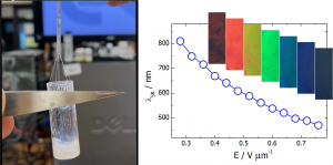 (po lewej) Jedną z właściwości helisalnej fazy ferronematycznej jest łatwość tworzenia stabilnych filamentów. (po prawej) Zmiany długości fali selektywnego odbicia światła, λSR, w fazie NTBF pod wpływem stałego pola stałego pola elektrycznego, E; tekstury ukazujące różne kolory odbitego światła, widoczne dla różnych wartości napięcia. Źródło: D. Pociecha/UW