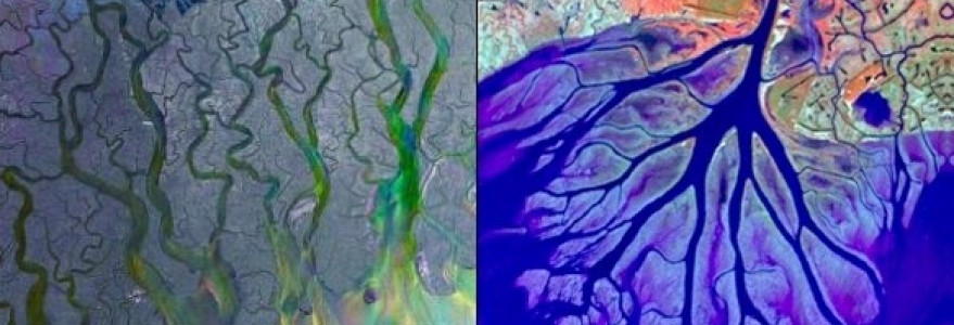 Ujścia rzek do oceanu mogą przyjmować różnorodne formy. (po prawej) Delta Gangesu i Brahmaputry przy ujściu do Oceanu Indyjskiego składa się z kanałów tworzących pętle, które otaczają setki wysepek. (Źródło: @ESA European Space Agency), (po lewej) Ujście rzeki z Wax Lake w Luizjanie (USA) do Oceanu Atlantyckiego ma formę podobną do kształtu drzewa, w którym główny strumień dzieli się na mniejsze odnogi. (Źródło: National Science Foundation, Center for Earth-Surface Dynamics).