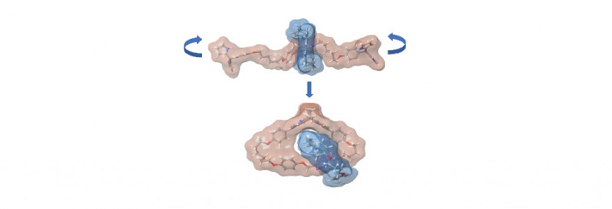 Grafika do publikacji Multimodal Molecular Motion in the Rotaxanes and Catenanes Incorporating Flexible Calix[n]phyrin Stations,opublikowanej w czasopiśmie „Angewewandte Chemistry International Edition”